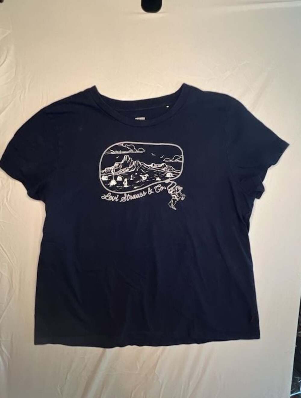 Levi Strauss & Co. Mountain Landscape Graphic Crew Neck T-Shirt